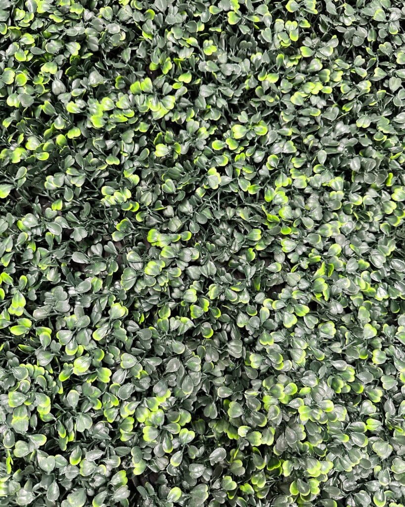 ActivWall Booth at IBS